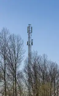 321002