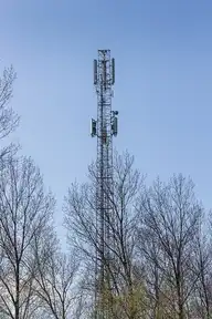 321004