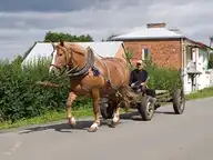 321625