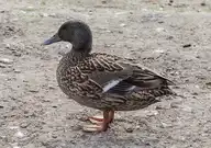 322416