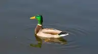 322422