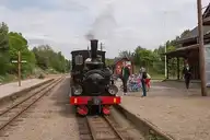 323229