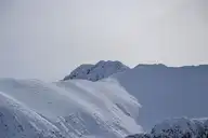 323459