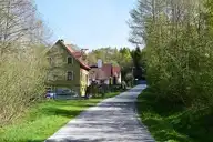 323556