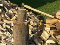 323589