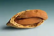 3259