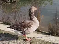 326347