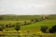 326453