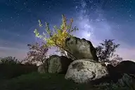 326554