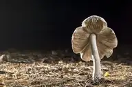 326765
