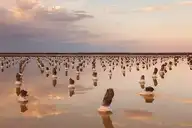 326855