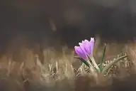 327186