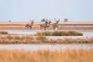 327257