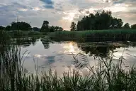 327366