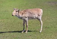 327563