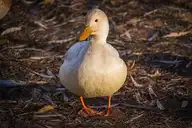 327830