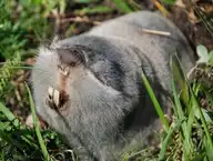 327841