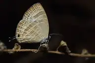 328201