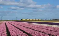 328482