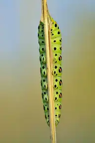 328673