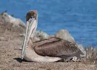328744
