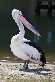 328748