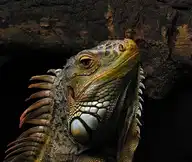 328993