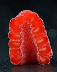 329178