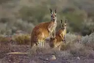 329197