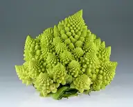 329311
