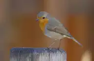329331