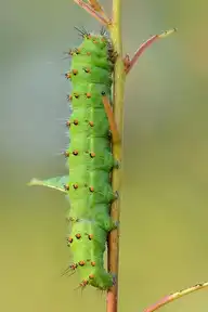 329465