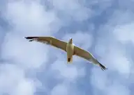 329531