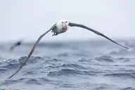 329608