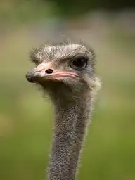 329947