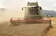 330126