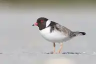 330189