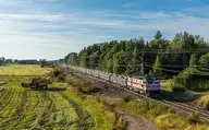 330393