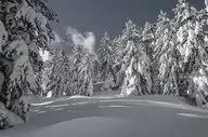 330919