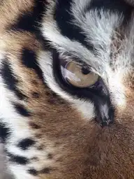 3378