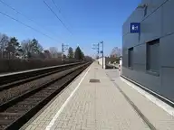 33818