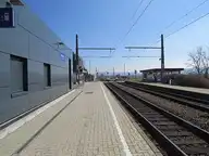 33819