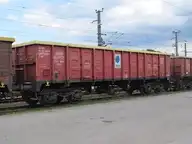 33981