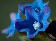 3411