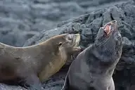 34734
