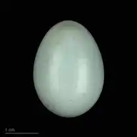 354