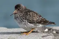 35815