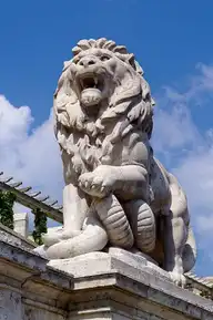 36009