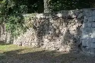 36491