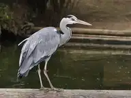 3651